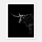 Black and white portrait of a Texas Longhorn with large sweeping horns emerging from darkness, western ranch wall art poster.