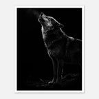 Black and white photograph of a wolf howling into the night with visible breath in cold air, wildlife wall art poster.