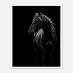 Black and white portrait of a wild stallion with flowing mane emerging from darkness, western horse wall art poster.