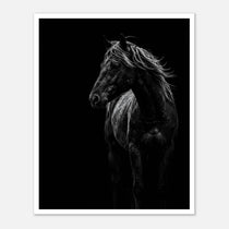 Black and white portrait of a wild stallion with flowing mane emerging from darkness, western horse wall art poster.