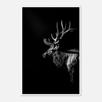 Black and white portrait of a bull elk with large antlers emerging from darkness, western wildlife wall art poster.
