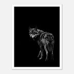 Black and white portrait of a lone wolf standing in shadow looking toward the viewer, wildlife wall art poster.