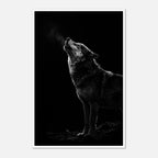 Black and white photograph of a wolf howling into the night with visible breath in cold air, wildlife wall art poster.