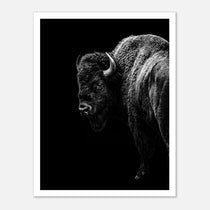 Black and white portrait of an American bison standing in profile against a dark background, western wildlife wall art poster.