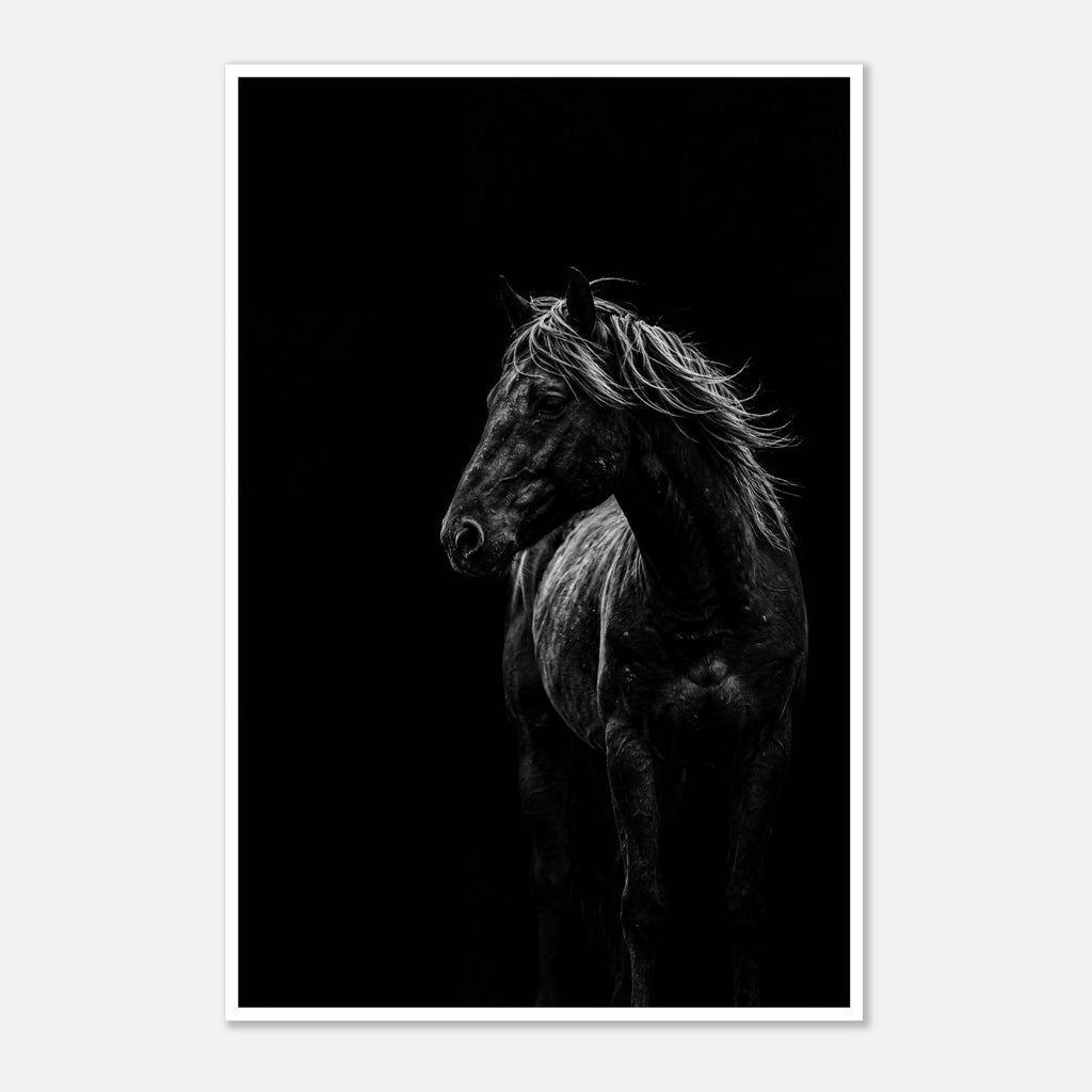Black and white portrait of a wild stallion with flowing mane emerging from darkness, western horse wall art poster.