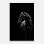 Black and white portrait of a wild stallion with flowing mane emerging from darkness, western horse wall art poster.