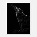 Black and white photograph of a wolf howling into the night with visible breath in cold air, wildlife wall art poster.