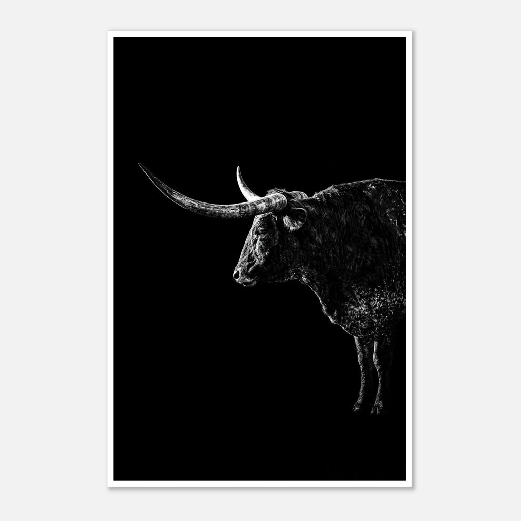Black and white portrait of a Texas Longhorn with large sweeping horns emerging from darkness, western ranch wall art poster.