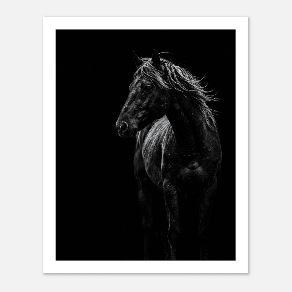 Black and white portrait of a wild stallion with flowing mane emerging from darkness, western horse wall art poster.