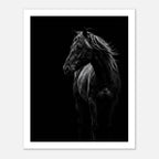 Black and white portrait of a wild stallion with flowing mane emerging from darkness, western horse wall art poster.