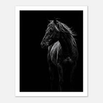 Black and white portrait of a wild stallion with flowing mane emerging from darkness, western horse wall art poster.