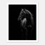 Black and white portrait of a wild stallion with flowing mane emerging from darkness, western horse wall art poster.