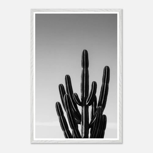 7846707e-4b3d-4d88-a9db-ce69af5f04ab