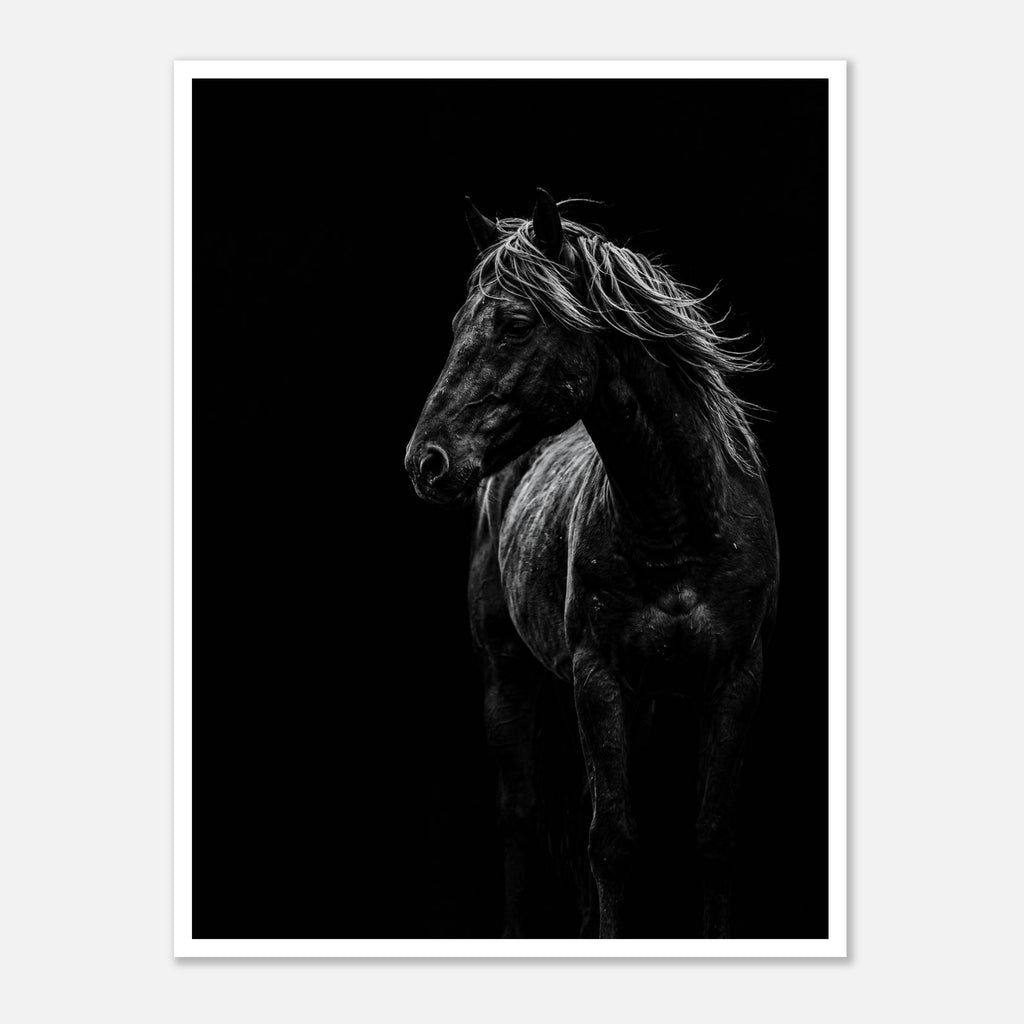 Black and white portrait of a wild stallion with flowing mane emerging from darkness, western horse wall art poster.