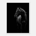 Black and white portrait of a wild stallion with flowing mane emerging from darkness, western horse wall art poster.