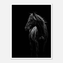 Black and white portrait of a wild stallion with flowing mane emerging from darkness, western horse wall art poster.