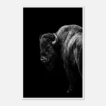 Black and white portrait of an American bison standing in profile against a dark background, western wildlife wall art poster.