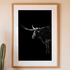 Black and white portrait of a Texas Longhorn with large sweeping horns emerging from darkness, western ranch wall art poster.
