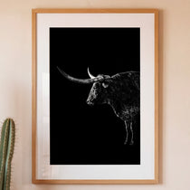 Black and white portrait of a Texas Longhorn with large sweeping horns emerging from darkness, western ranch wall art poster.