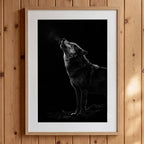 Black and white photograph of a wolf howling into the night with visible breath in cold air, wildlife wall art poster.