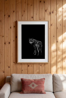 Black and white portrait of a lone wolf standing in shadow looking toward the viewer, wildlife wall art poster.