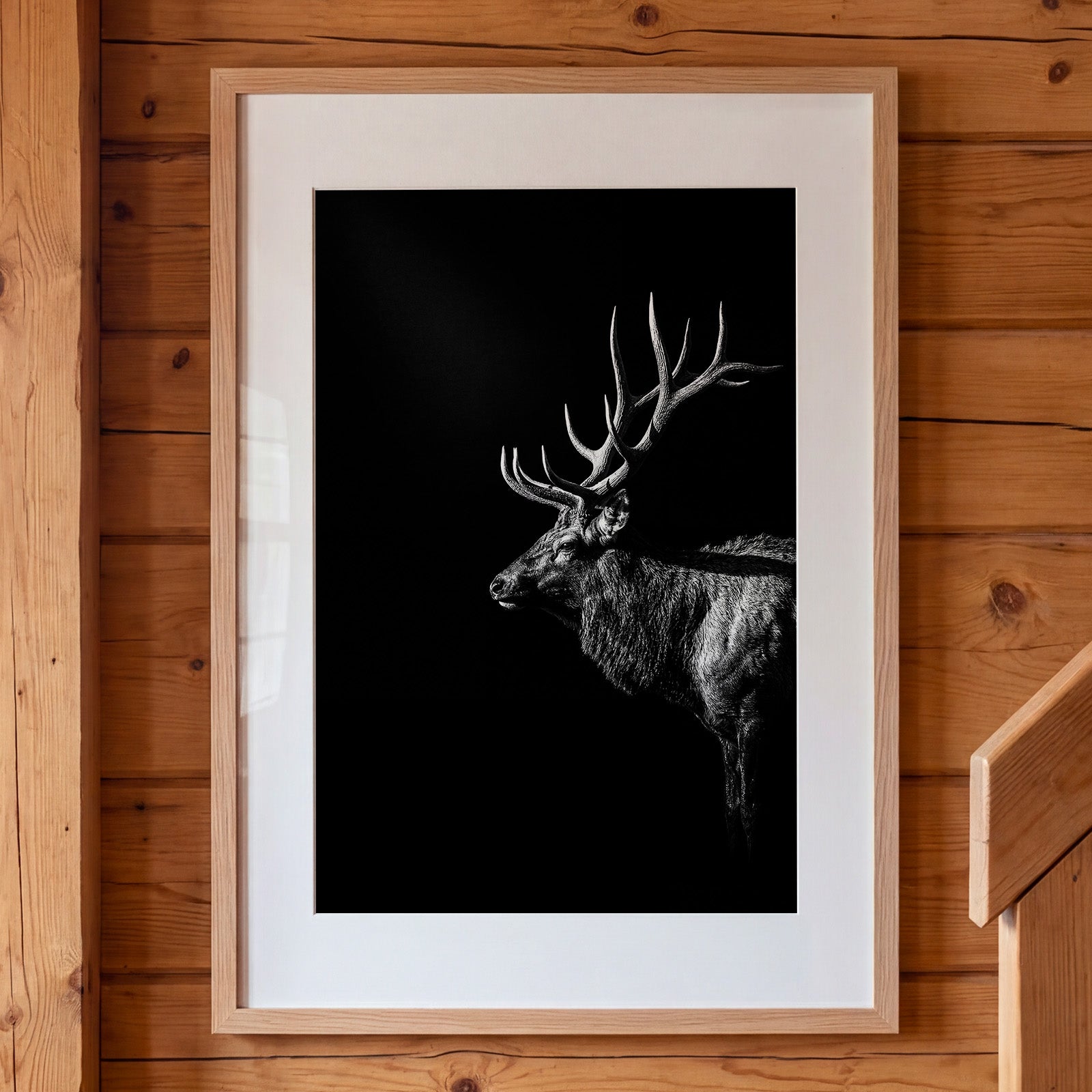 Black and white portrait of a bull elk with large antlers emerging from darkness, western wildlife wall art poster. Main image
