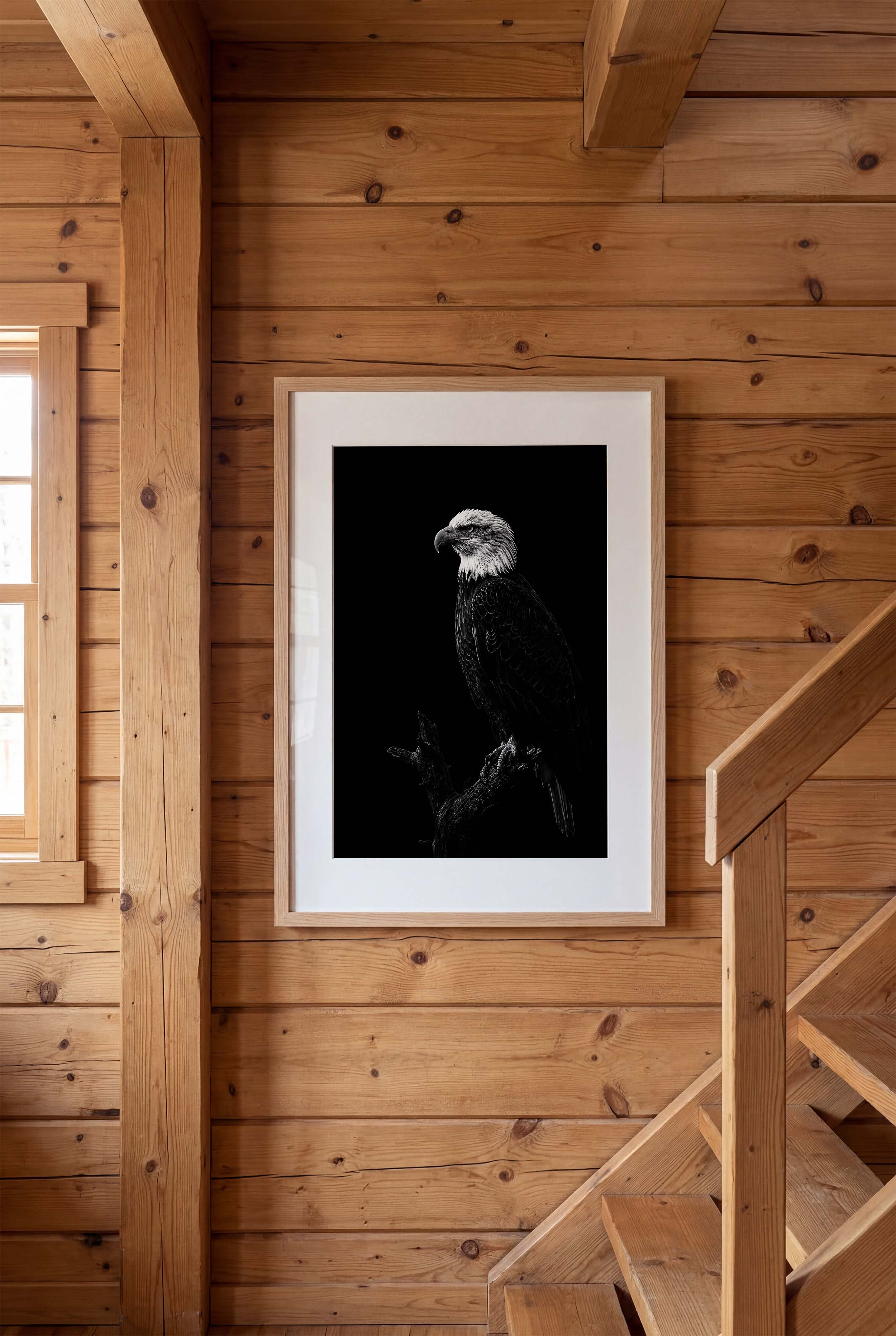 Bald Eagle Portrait Secondary image