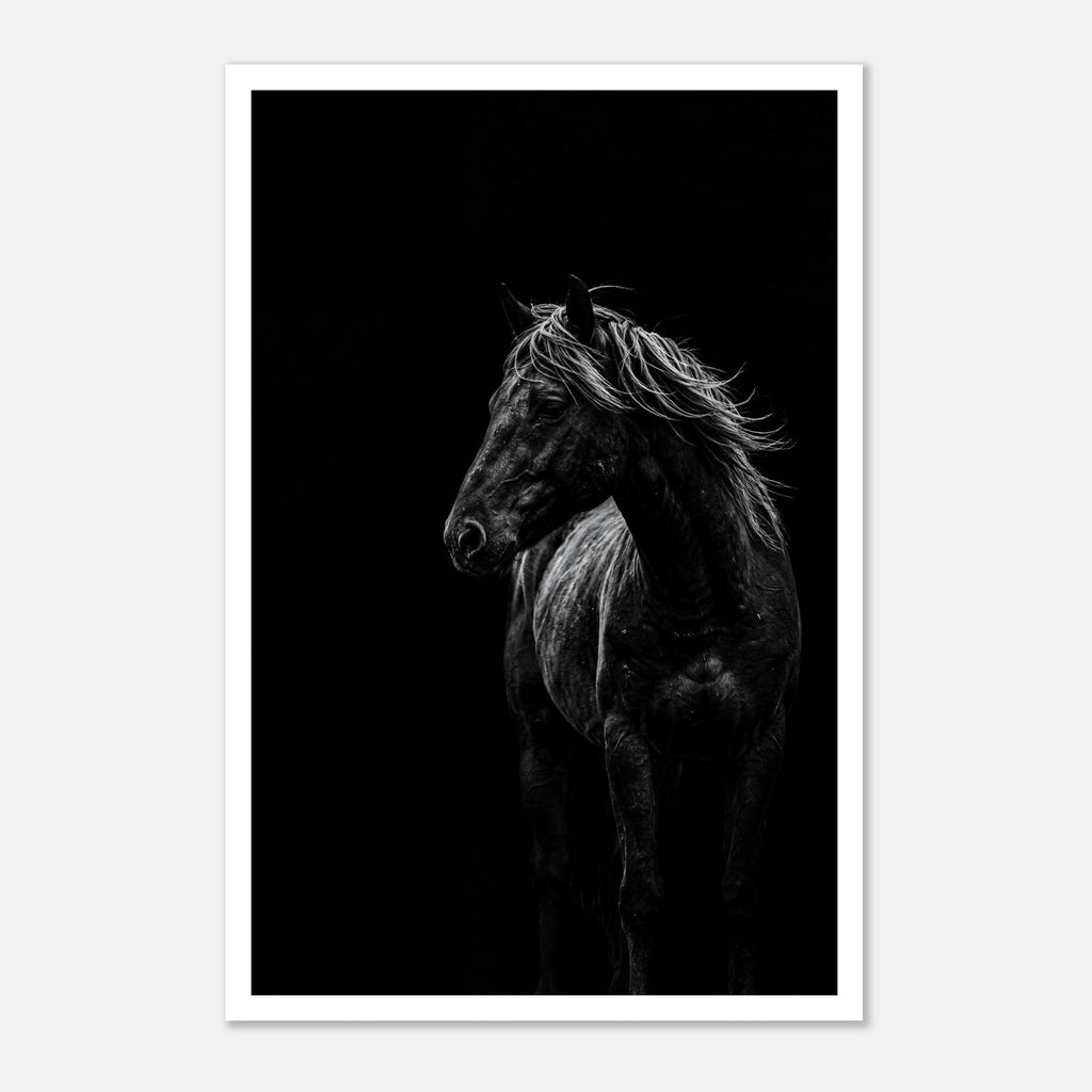 Black and white portrait of a wild stallion with flowing mane emerging from darkness, western horse wall art poster.