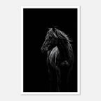 Black and white portrait of a wild stallion with flowing mane emerging from darkness, western horse wall art poster.