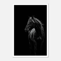 Black and white portrait of a wild stallion with flowing mane emerging from darkness, western horse wall art poster.