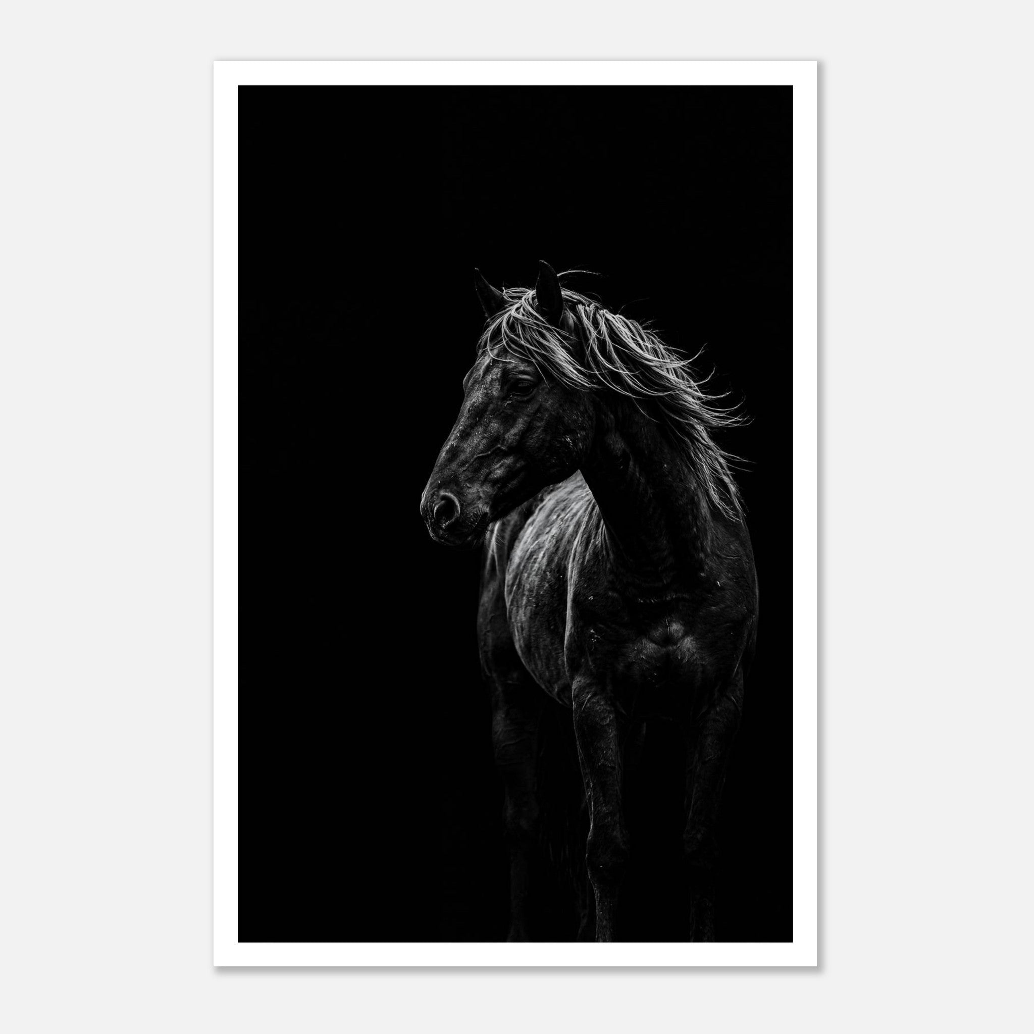 Black and white portrait of a wild stallion with flowing mane emerging from darkness, western horse wall art poster.