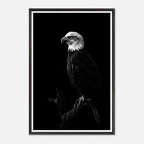 a299b446-cb7f-4700-a363-7c14d97a65cd