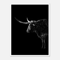 Black and white portrait of a Texas Longhorn with large sweeping horns emerging from darkness, western ranch wall art poster.