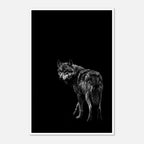 Black and white portrait of a lone wolf standing in shadow looking toward the viewer, wildlife wall art poster.