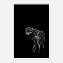 Black and white portrait of a lone wolf standing in shadow looking toward the viewer, wildlife wall art poster.