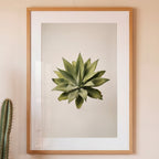 Framed artwork of a green succulent plant on a beige wall.