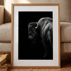 Black and white portrait of an American bison standing in profile against a dark background, western wildlife wall art poster.