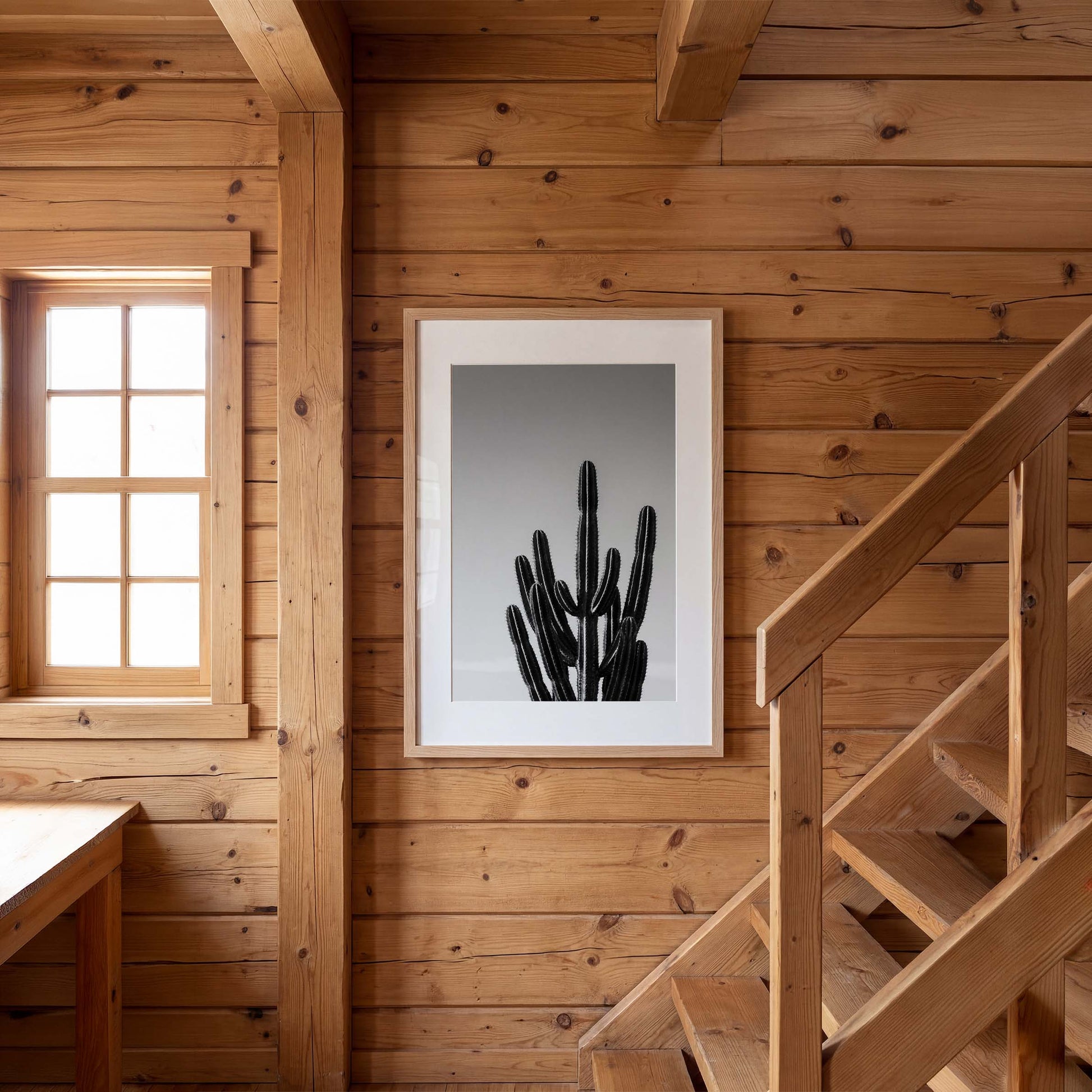 Black and white cactus photograph with minimalist desert composition and clean sky background
