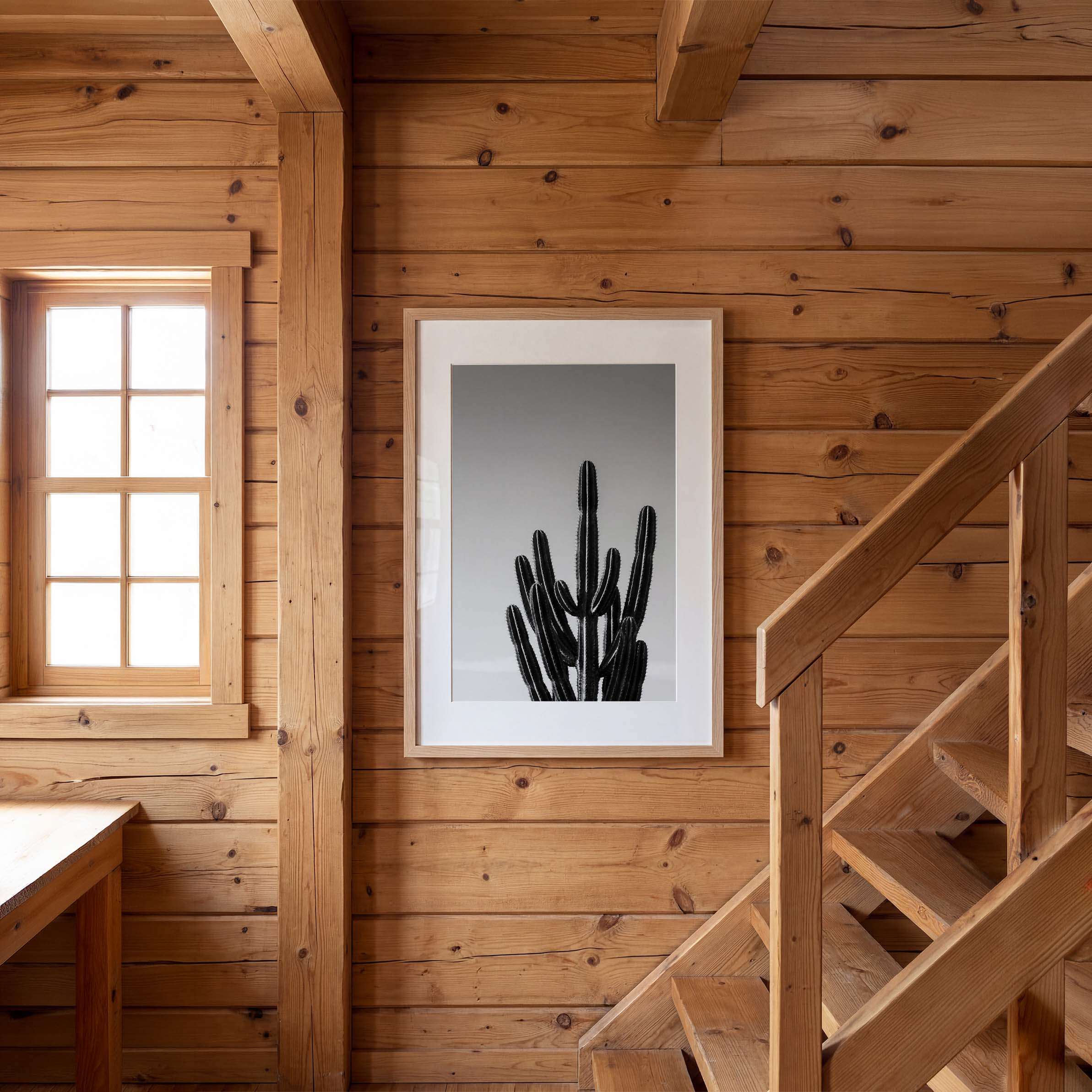 Black and white cactus photograph with minimalist desert composition and clean sky background