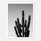 Black and white cactus photograph with minimalist desert composition and clean sky background