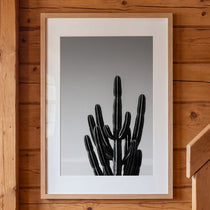 Black and white cactus photograph with minimalist desert composition and clean sky background