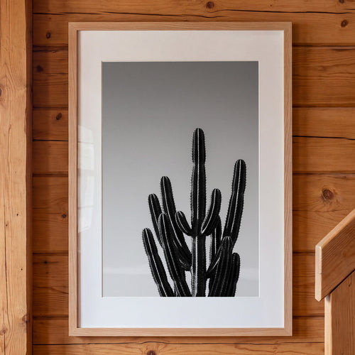 Black and white cactus photograph with minimalist desert composition and clean sky background