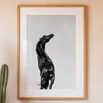 Framed artwork of a black animal on a light gray background, leaning against a beige wall with a cactus plant to the left.