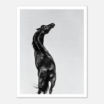 Black and white photograph of a horse rearing against a minimal sky, western horse wall art print