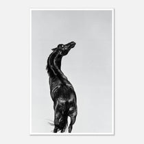 Black and white photograph of a horse rearing against a minimal sky, western horse wall art print