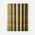 Close-up cactus wall art showing vertical ribs and spines in a minimalist desert composition.