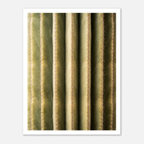 Close-up cactus wall art showing vertical ribs and spines in a minimalist desert composition.