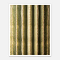 Close-up cactus wall art showing vertical ribs and spines in a minimalist desert composition.