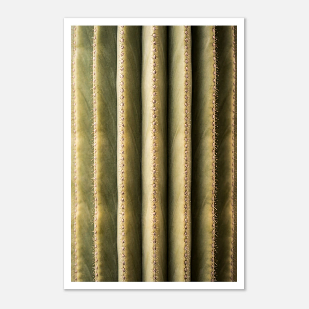 Close-up cactus wall art showing vertical ribs and spines in a minimalist desert composition.