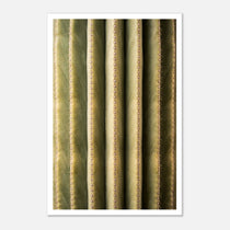 Close-up cactus wall art showing vertical ribs and spines in a minimalist desert composition.